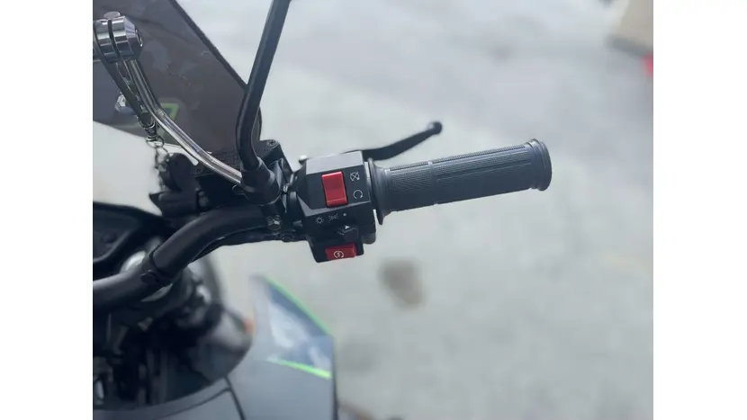 Мотоцикл TEKKEN 250 NEW черно-зеленый (ТИП ШИН DUAL SPORT), фото фото 21